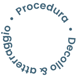 procedura